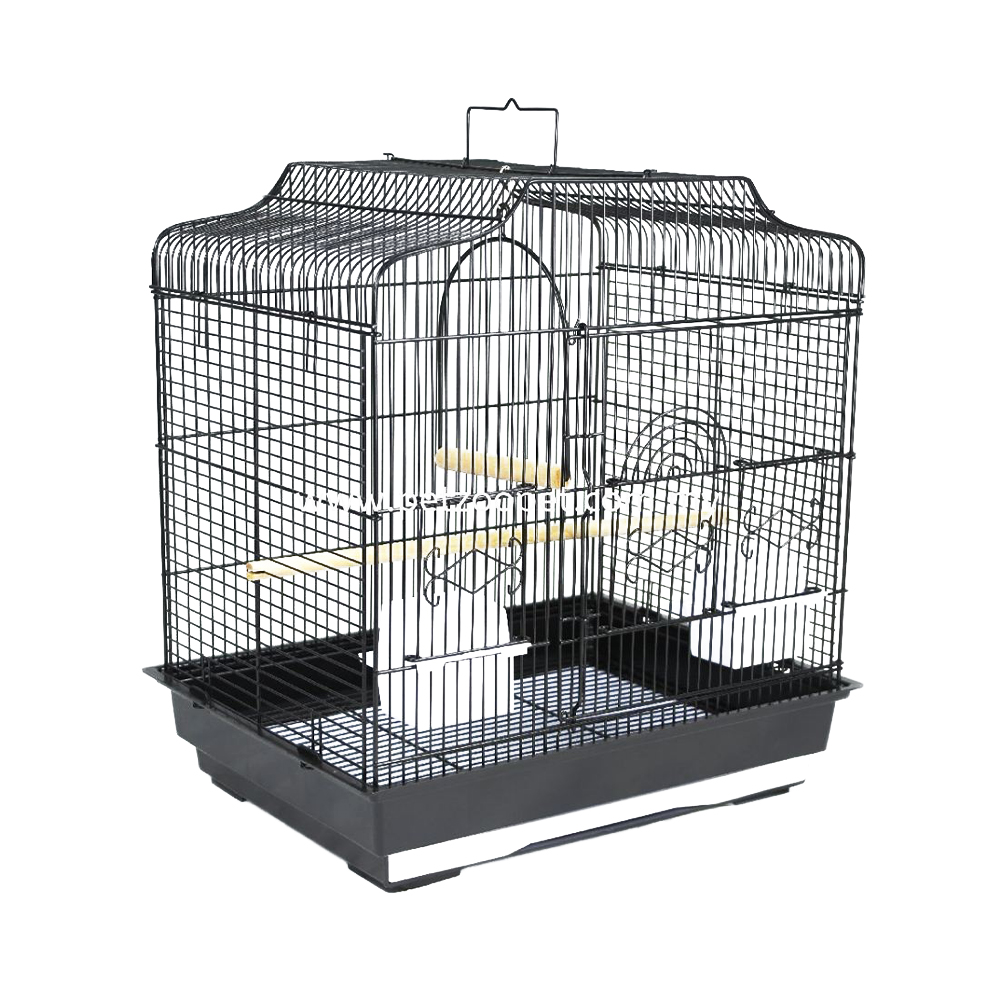 Tips On Cleaning Your Bird’s Cage Daily, Weekly, and Monthly Starcage Pet Products Sdn Bhd
