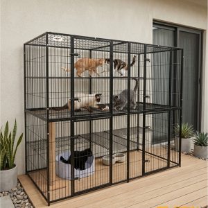 C136 – Catio [Pre-Order 30 Days]
