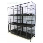 cat boarding cage