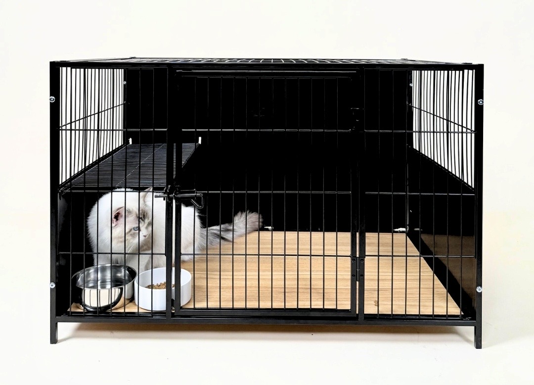 Wire Mesh vs Wooden Cages: Which Is Better for Pets?
